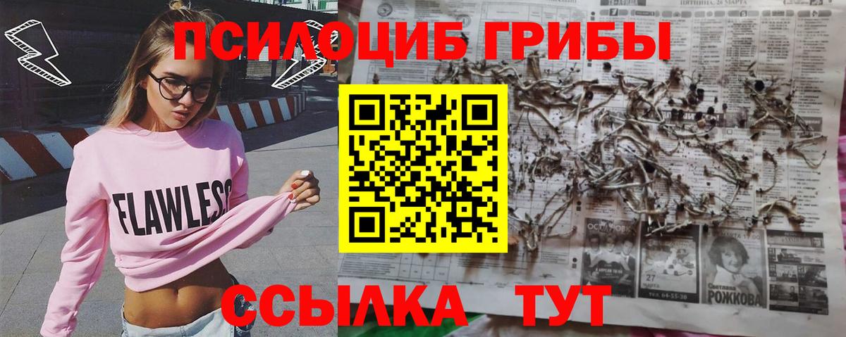 Галлюциногенные грибы Psilocybine cubensis  Вход с VPN  Владивосток 